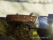 RIMG0326